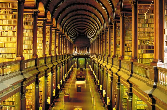 Akashic Records: The Book of All - The Dark Primordial