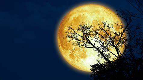 The Waning of the Beaver Supermoon: A Spiritual and Magickal Perspective - The Dark Primordial