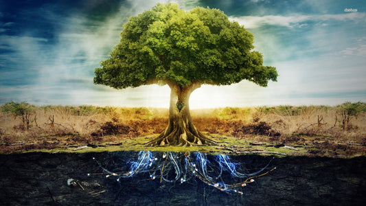 Kabbalistic Tree-Walking Meditation: Utilizing the Tree of Life for Personal Growth and Energy Alignment - The Dark Primordial